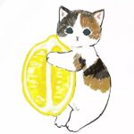 冷静的头像-冷静软件库